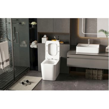 Унитаз импульсный Abber Rechteck AC1212P