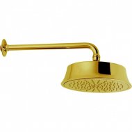 Верхний душ Cisal Shower DS0132702 золото