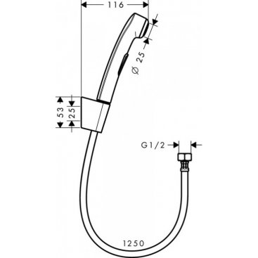 Гигиенический душ Hansgrohe со шлангом 1,25м 32129000