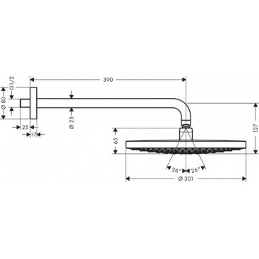 Верхний душ Hansgrohe Raindance Select S 300 27378000