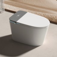 Унитаз приставной Laguraty V9 с биде