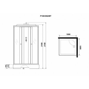 Душевая кабина Niagara Promo P100/26Q/MT