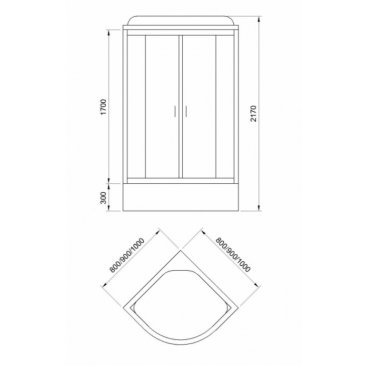 Душевая кабина Royal Bath RB-EKO100CK-WM 100x100