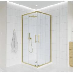 Душевой уголок Veconi Evo 300 G 110x90