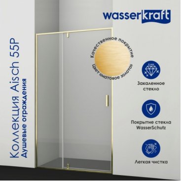 Душевая дверь WasserKRAFT Aisch 55P12 100 см