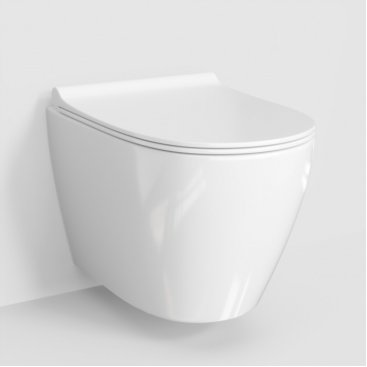 Унитаз подвесной WasserKRAFT Mindel H002.E034 безободковый