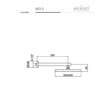 Верхний душ Webert Comfort AC0392